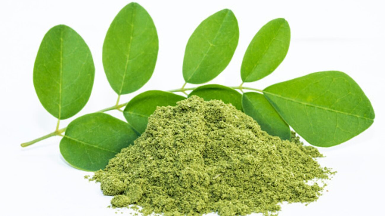 মরিঙ্গা-পাউডার | Bangladeshi online shop| +8801826300306-10