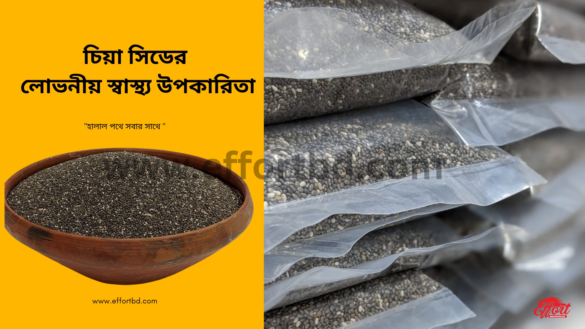চিয়া সিডের লোভনীয় উপকারিতা : Benefits of Chia Seed