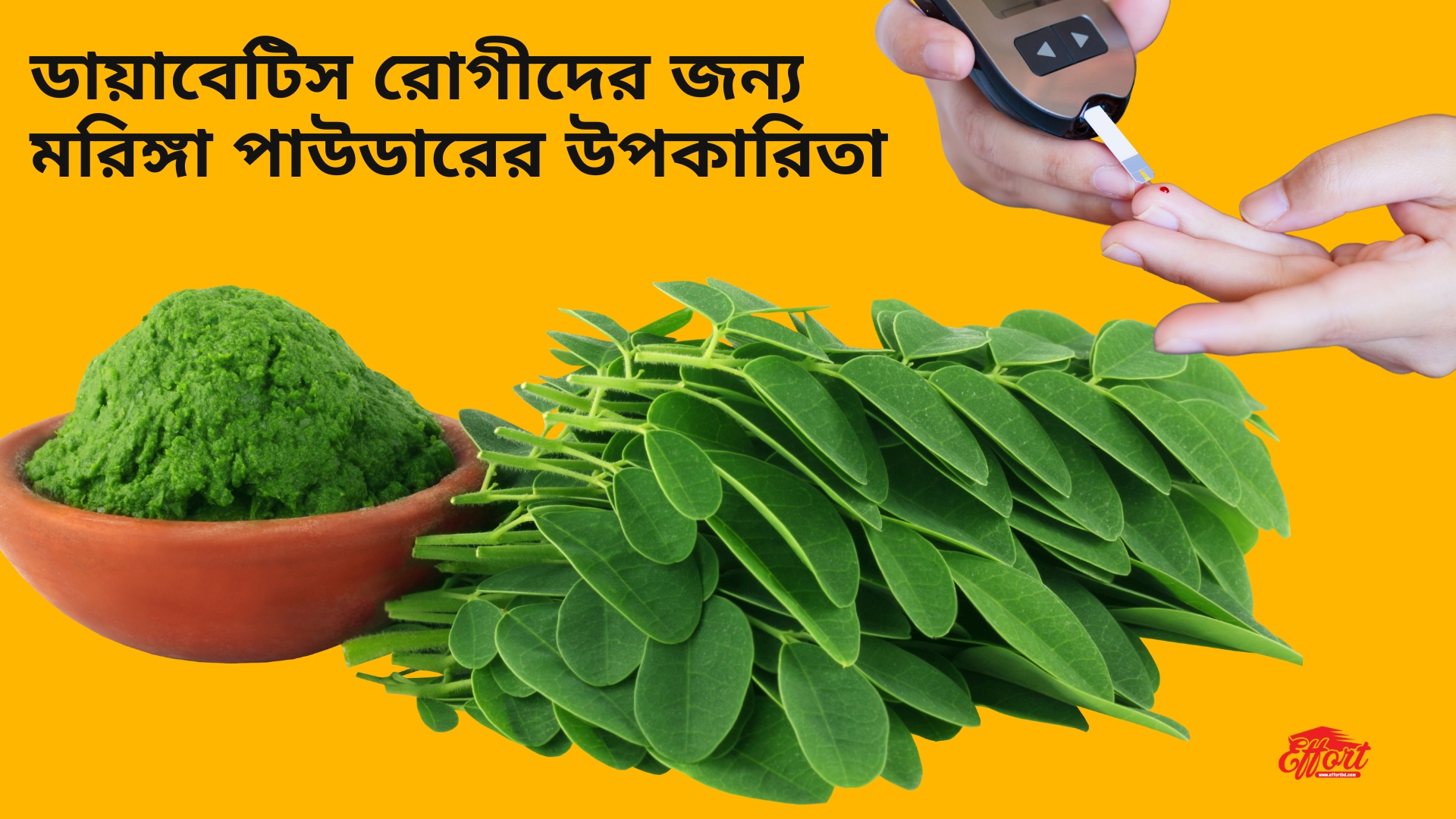 ডায়াবেটিস রোগীদের জন্য মরিঙ্গা পাউডারের উপকারিতা- Effortbd