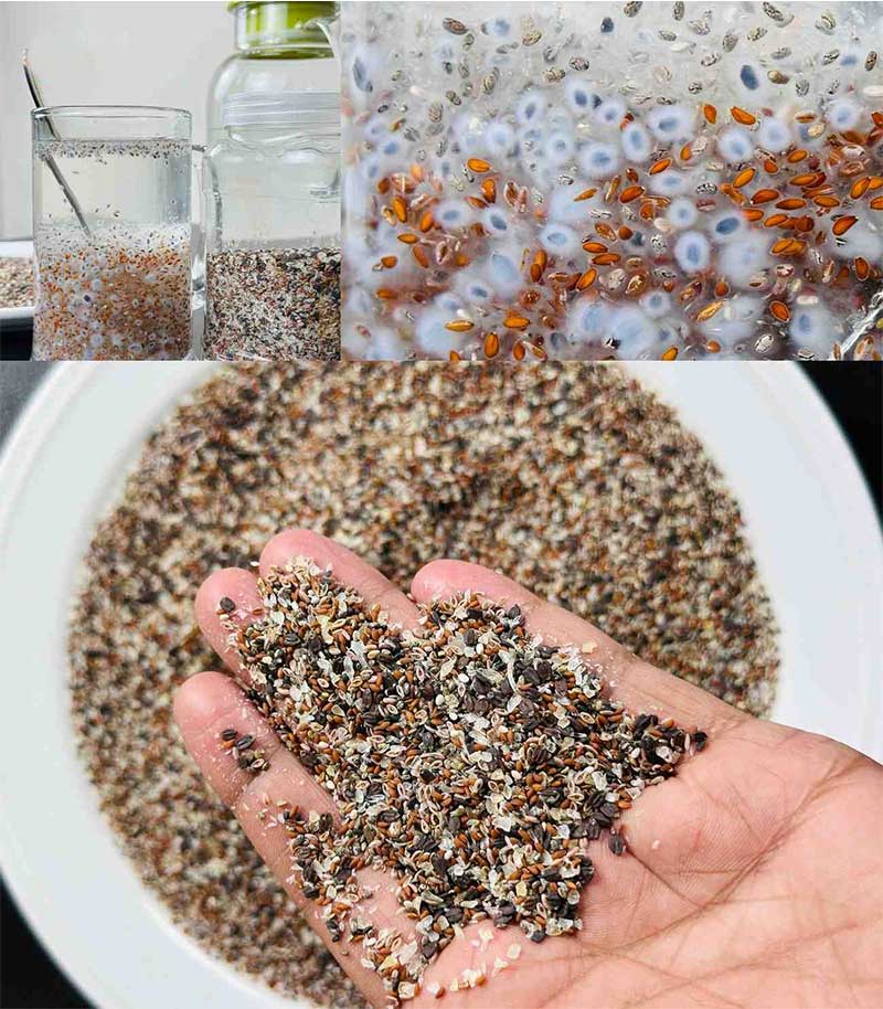 seed mix সিড মিক্স